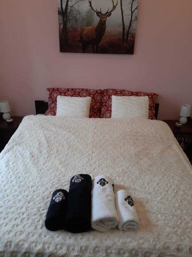 Apartament Wspanialy. كوفاره المظهر الخارجي الصورة